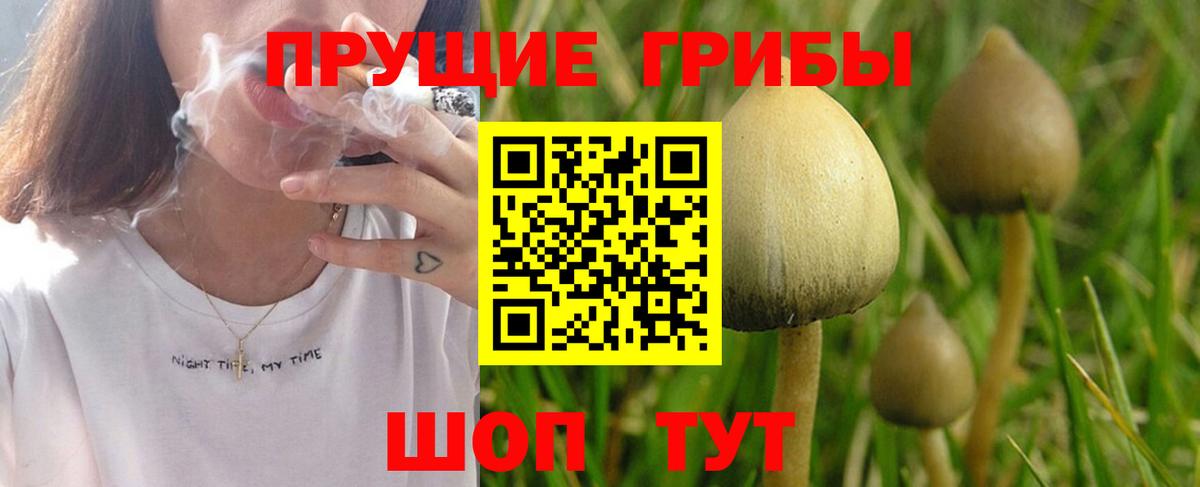 где найти наркотики  Вход с VPN  Кострома  Галлюциногенные грибы прущие грибы  Галлюциногенные грибы ЛСД 